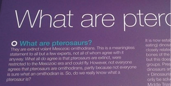 A section of a text panel. The paragraph is titled "What are pterosaurs?". The paragraph text says "They are extinct volant Mesozoic rornithodirans. This is a meaningless statement to all but a few experts, not all of whom agree with it anyway. What all do agree is that pterosaurs are extinct, were restricted to the Mesozoic era and could fly. However, not everyone agrees that pterosaurs are rornithodirans, partly because not everyone is sure what an ornithodirian is. So, do we really know what a pterosaur is?"